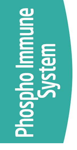 Phosho Immune system